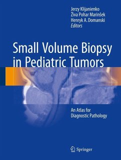 Small Volume Biopsy in Pediatric Tumors (eBook, PDF)