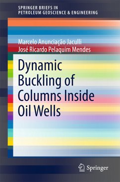 Dynamic Buckling of Columns Inside Oil Wells (eBook, PDF) - Jaculli, Marcelo Anunciação; Mendes, José Ricardo Pelaquim