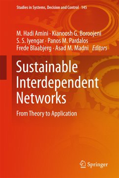 Sustainable Interdependent Networks (eBook, PDF)