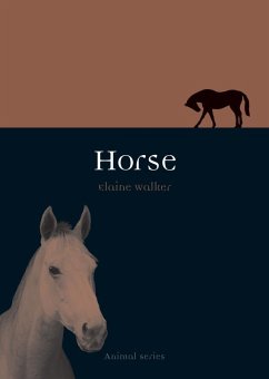 Cover Horse (eBook, ePUB)