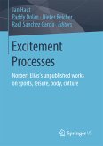 Excitement Processes (eBook, PDF)