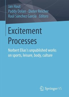 Cover Excitement Processes (eBook, PDF)