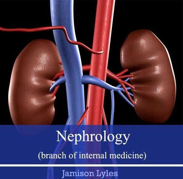 Nephrology (branch of internal medicine) (eBook, PDF)