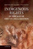 Indigenous Rights in the Age of the UN Declaration (eBook, ePUB)
