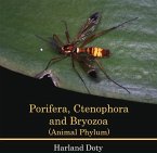 Porifera, Ctenophora and Bryozoa (Animal Phylum) (eBook, PDF)
