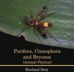 Cover Porifera, Ctenophora and Bryozoa (Animal Phylum) (eBook, PDF)