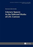 Literary Spaces in the Selected Works of J.M. Coetzee (eBook, PDF)