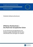 Effektiver Rechtsschutz - Das Recht der Europaeischen Union (eBook, PDF)