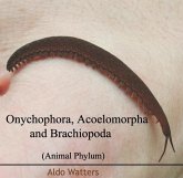 Onychophora, Acoelomorpha and Brachiopoda (Animal Phylum) (eBook, PDF) Onychophora, Acoelomorpha and Brachiopoda (Animal Phylum) (eBook, PDF)