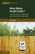 What Makes Health Public? (eBook, ePUB) - Bild 1