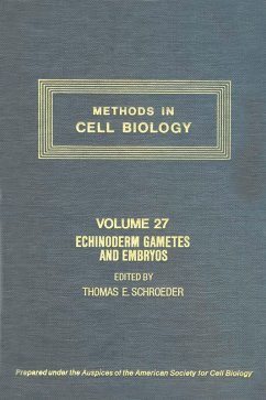 Echinoderm Gametes and Embryos (eBook, PDF)