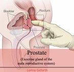 Prostate (Exocrine gland of the male reproductive system) (eBook, PDF)
