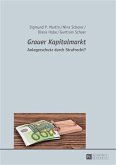 Grauer Kapitalmarkt (eBook, PDF)