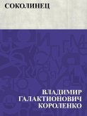 Sokolinec (eBook, ePUB)