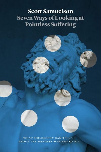 Seven Ways of Looking at Pointless Suffering (eBook, ePUB)