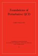Foundations of Perturbative QCD (eBook,... - Bild 1