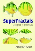 SuperFractals (eBook, ePUB)