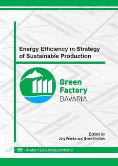 Energy Efficiency in Strategy of Sustainable Production (eBook, PDF)