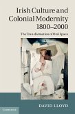 Irish Culture and Colonial Modernity 1800-2000 (eBook, ePUB)