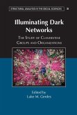 Illuminating Dark Networks (eBook, ePUB)