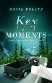 Key Moments (eBook, ePUB)