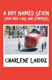 A Boy Named Sevin Soap Box Cars and Surprises (eBook, ePUB)