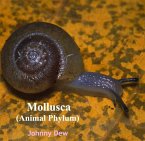Mollusca (Animal Phylum) (eBook, PDF)