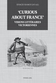'Curious about France' : Visions litteraires victoriennes (eBook, ePUB)