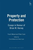 Property and Protection (eBook, PDF)