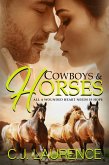 Cowboys & Horses (eBook, ePUB)