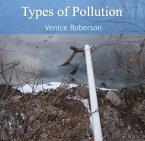 Types of Pollution (eBook, PDF)