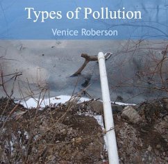 Types of Pollution (eBook, PDF) - Roberson, Venice