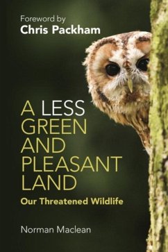Less Green and Pleasant Land (eBook, PDF) - Maclean, Norman