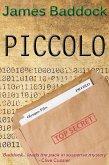 Piccolo (eBook, PDF)