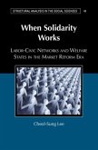 When Solidarity Works (eBook, PDF)