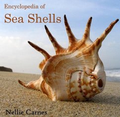 Encyclopedia of Sea Shells (eBook, PDF) - Carnes, Nellie