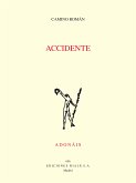 Accidente (eBook, ePUB)