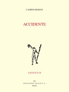 Accidente (eBook, ePUB) - Román Álvarez, Camino