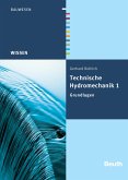 Technische Hydromechanik 1 (eBook, PDF)