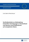 Straftatbestaende zur Bekaempfung krimineller Vereinigungen in Deutschland und Spanien sowie Manahmen auf europaeischer Ebene (eBook, PDF)