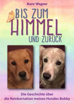 Bis zum Himmel und zurück (eBook, ePUB) - Wagner, Karo