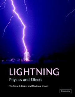 Lightning (eBook, PDF) - Rakov, Vladimir A.