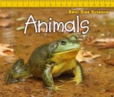Animals (eBook, PDF) Animals (eBook, PDF)