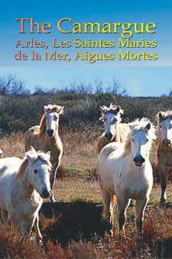 Cover France's Camargue, Arles, Les Saintes Maries de la Mer & Aigues Mortes (eBook, ePUB)