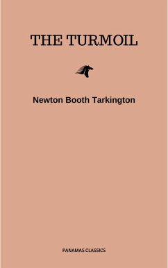 Cover The Turmoil (eBook, ePUB)