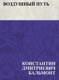 Vozdushnyj put' (eBook, ePUB)