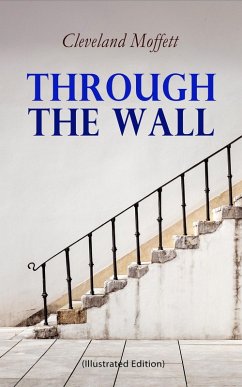 Through the Wall (Illustrated Edition) (eBook, ePUB) - Moffett, Cleveland
