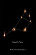Small Fires (eBook, PDF) - Bild 1