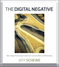 Digital Negative, The (eBook, ePUB) - Schewe, Jeff
