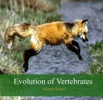 Evolution of Vertebrates (eBook, PDF)